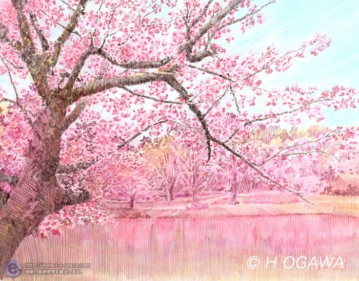 綺麗な簡単 桜 イラスト 色鉛筆 アニメ画像