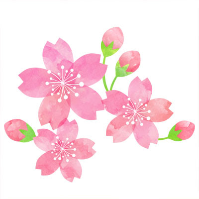 美しい花の画像 トップ100 卒業 イラスト 桜