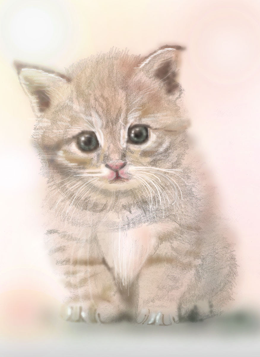 最高の動物画像 元の子猫 イラスト かわいい