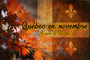 quebecennovembre_600