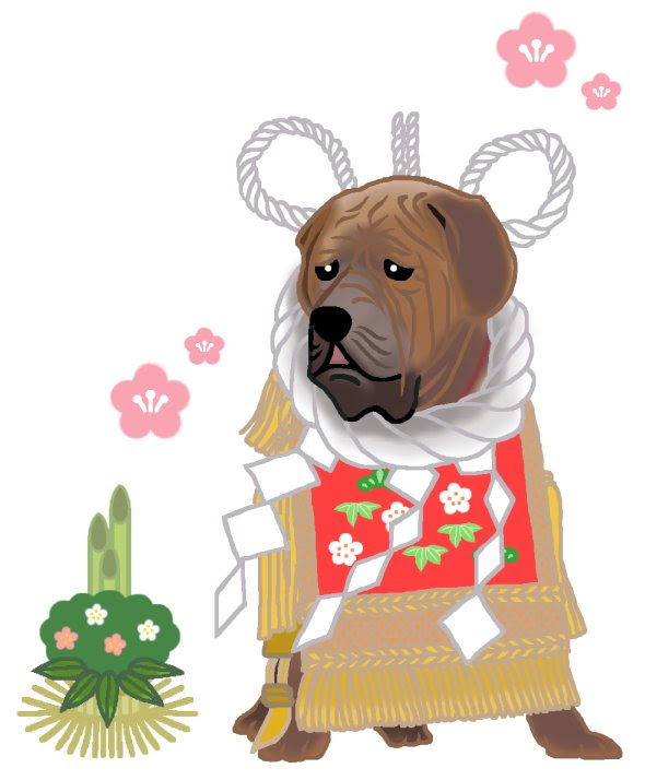 かわいい動物画像 エレガント土佐犬 イラスト かわいい