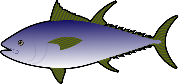 Gambar Ikan Tongkol Animasi Gambar Ikan HD