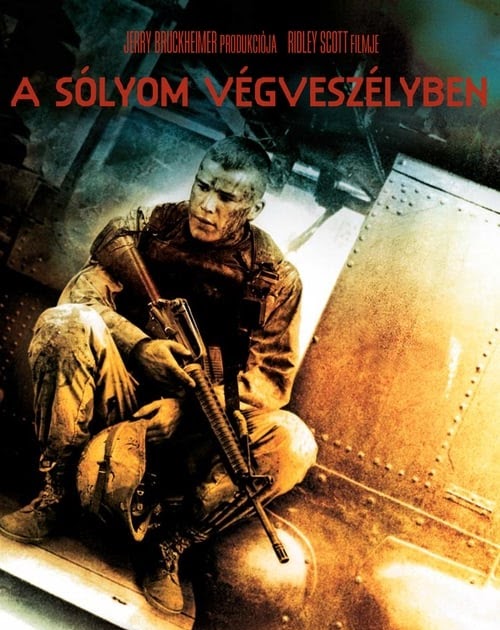 ~'MAFAB~HD!] A SÃ³lyom vÃ©gveszÃ©lyben Teljes Film (2001) Magyarul Videa