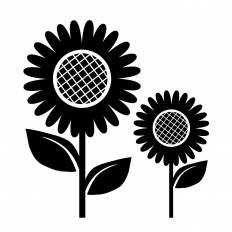 無料印刷可能ひまわり シルエット 花の画像