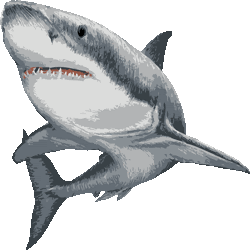 これまでで最高のリアル 簡単 サメ イラスト ディズニー画像のすべて