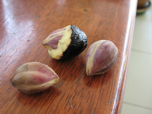 Almira Alwani BUAH  DABAI Sarawak Fruits 