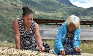 "Las mujeres de café", foto ganadora deconcurso de fotografía 'Mujeres indígenas y seguridad alimentaria en América Latina y el Caribe". 
