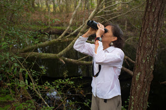 Birding at Lake Lafayette