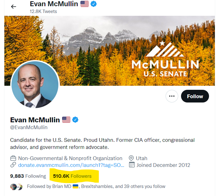 McMullin followers