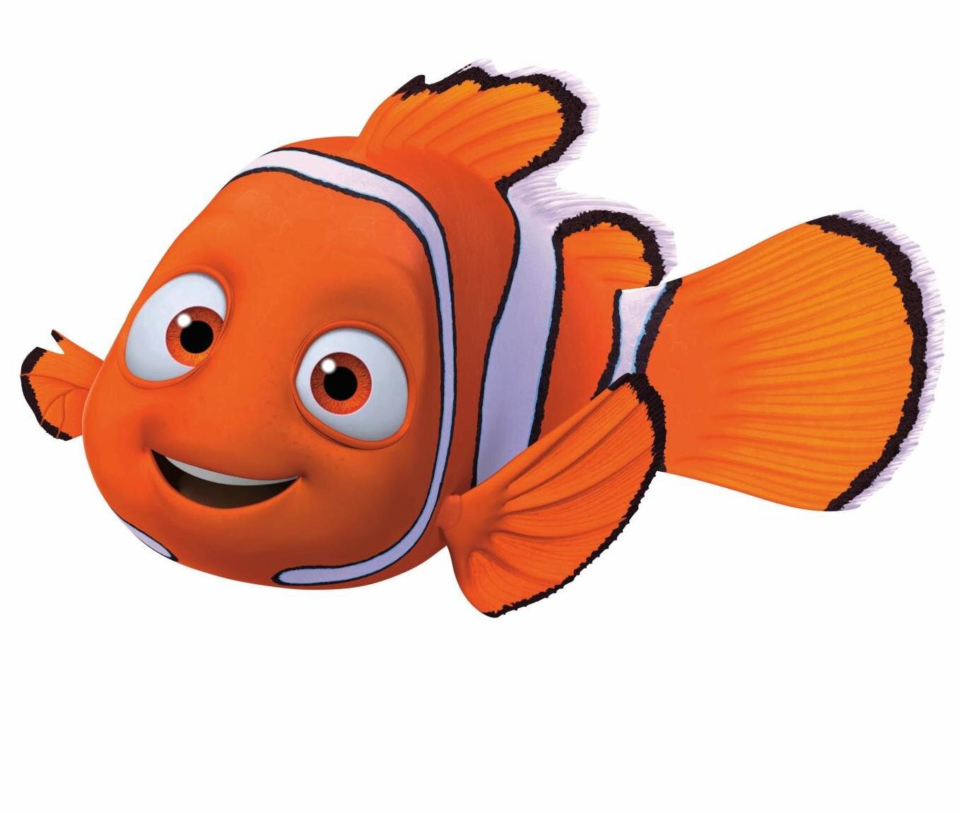 15 Trend Terbaru Animasi Ikan  Nemo  Amanda T Ayala
