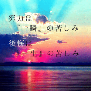 最新のhd名言 受験 壁紙 最高の花の画像