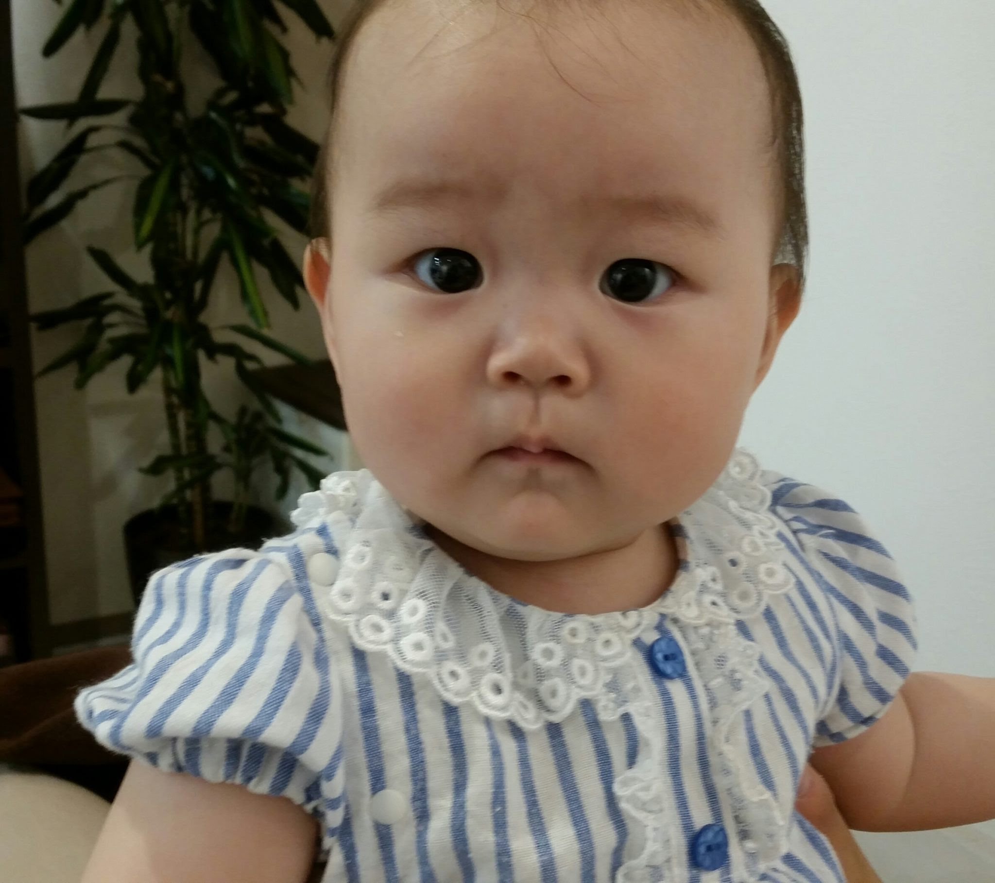 最高の動物画像 最新赤ちゃん の 可愛い 画像