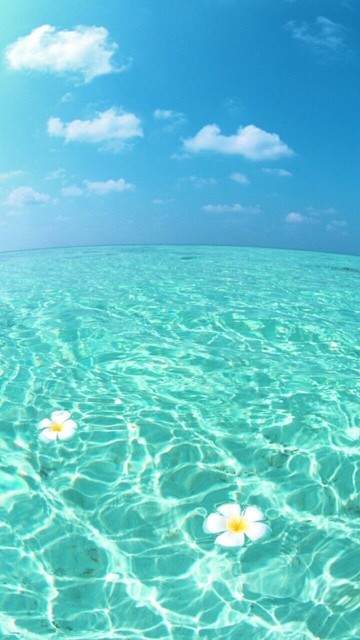 海 可愛い 壁紙 海 可愛い 壁紙