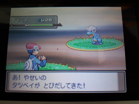トップレート ポケモン プラチナ ボーマンダ 100 で最高の画像