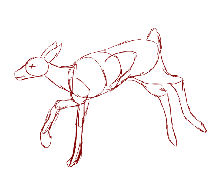 Suitable for creations of physical form via 3d printing, cnc carving. Deer Anatomy Drawing At Getdrawings Free Download