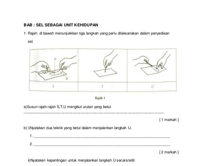 Soalan Fizik Daya Dan Tekanan - Kecemasan 1