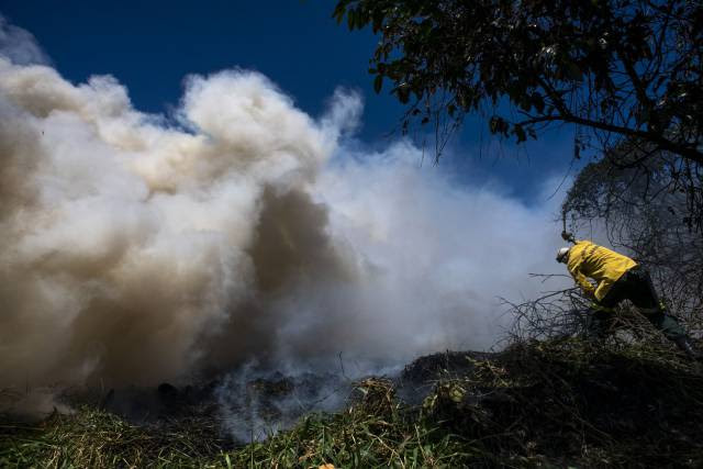 Incêndio no maior parque do Nordeste abre suspeita sobre facções e disputa imobiliária