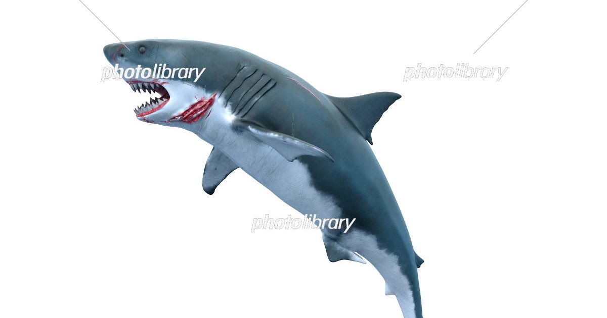 印刷可能 シルエット かっこいい サメ イラスト ドラゴンボールz アニメ画像