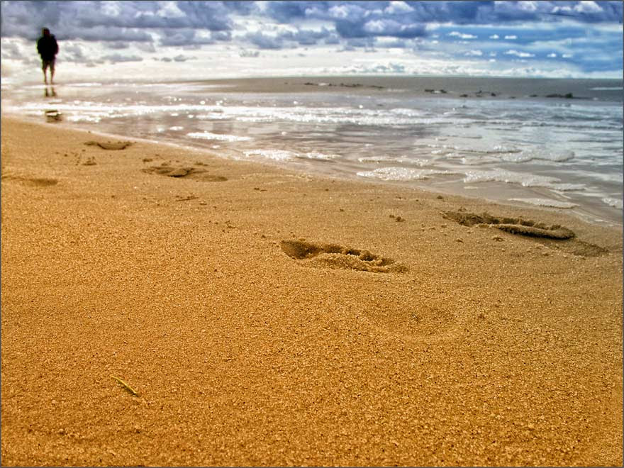 Wie ein mahnmal steht ein fast völlig verbrannter jägerstand auf freier flur. Geschichte Gott Fussspuren Sand Claire Rennie Blog