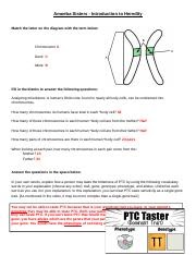 Amoeba Sisters Alleles And Genes Worksheet Yr 11 Topic 4 Genes And Inheritance Amazing World Of Science With Mr Green Science Comics Gifs Resources A