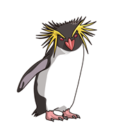 動物画像のすべて 上イラスト イワトビ ペンギン