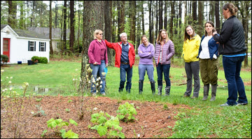 Choptank rain garden