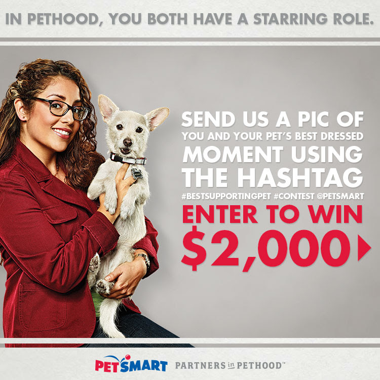 Find out how you and your pet could win big!