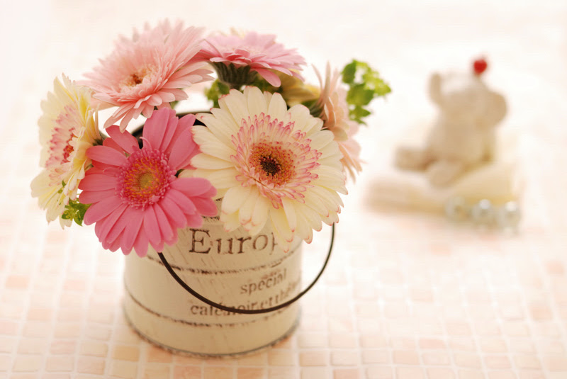 すべての花の画像 トップ100ガーベラ 壁紙 おしゃれ