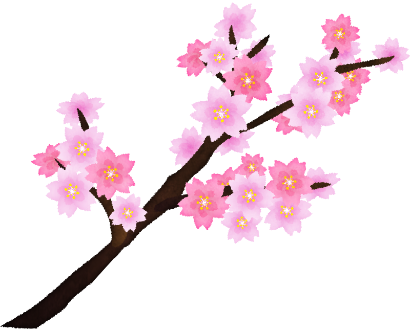 最高桜の 枝 イラスト アニメ画像
