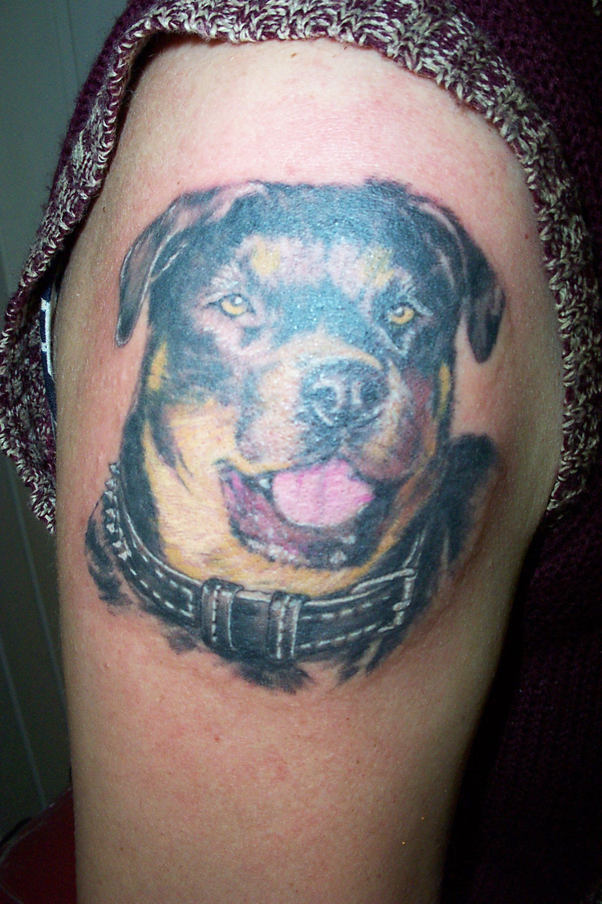 Tatouage De Chien Sur Le Bras Tatouage De Chien Sur Le Bras