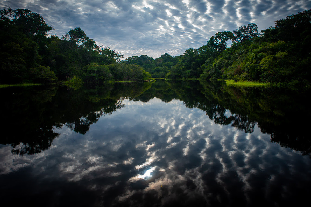 19_06_amazonia_foto_marcio_isensee_e_sa.jpg