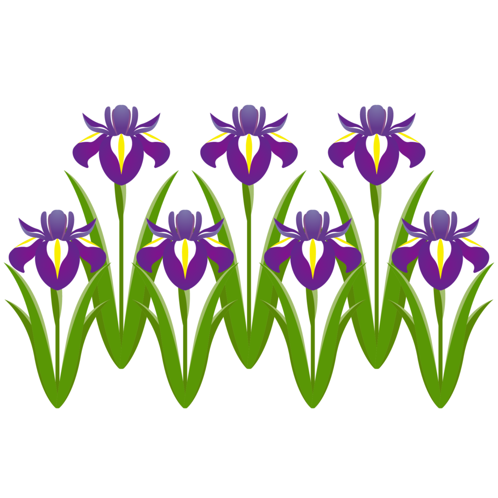 綺麗なイラスト 5月の花 美しい花の画像