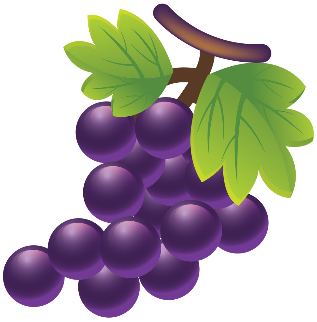 無料ダウンロード ぶどう イラスト 素材 ただ素晴らしい花
