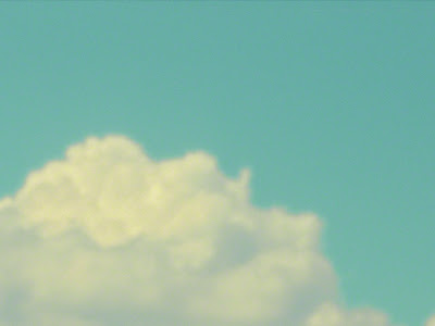 壁紙 初夏 花 307215