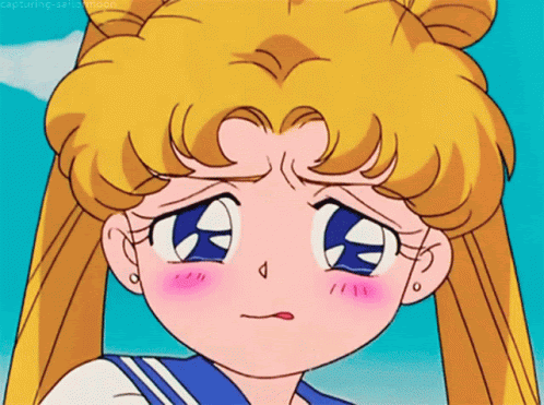 Sailormon Crying GIF
