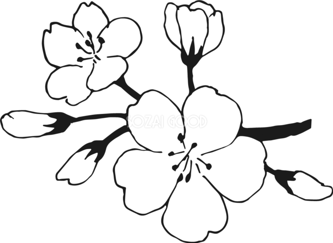 動物画像無料 上桜 イラスト 白黒 手書き