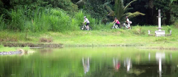 Cycle through beautiful small lake around Pura Taman