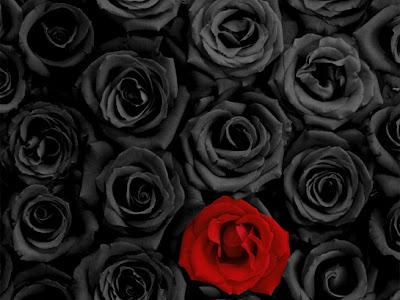 最高のコレクション 壁紙 黒 薔薇 画像 おしゃれ 238261