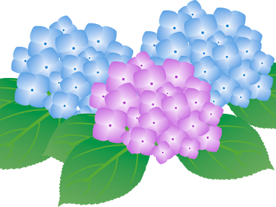 イラスト 無料 6月の花 608987