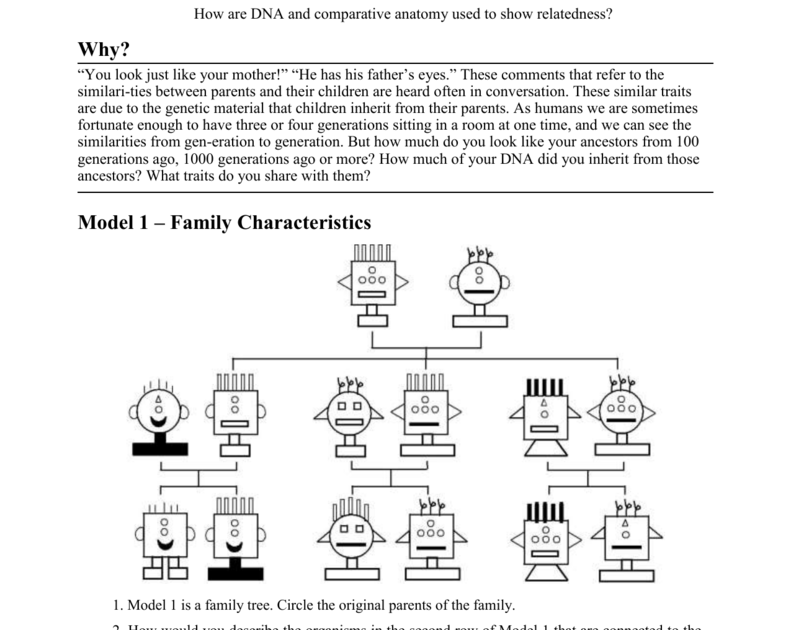 Dna Analysis Os Answer Key : RNA and Protein Synthesis ...