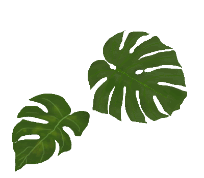 100 ハワイ 葉っぱ イラスト Karepehd