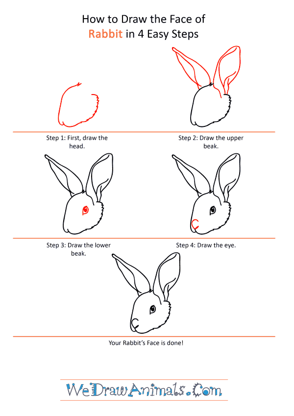 Check spelling or type a new query. How To Draw A Rabbit Face