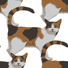 ベスト三毛猫 壁紙 最高の花の画像