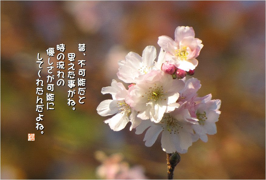 トップ100桜 言葉 すべての美しい花の画像