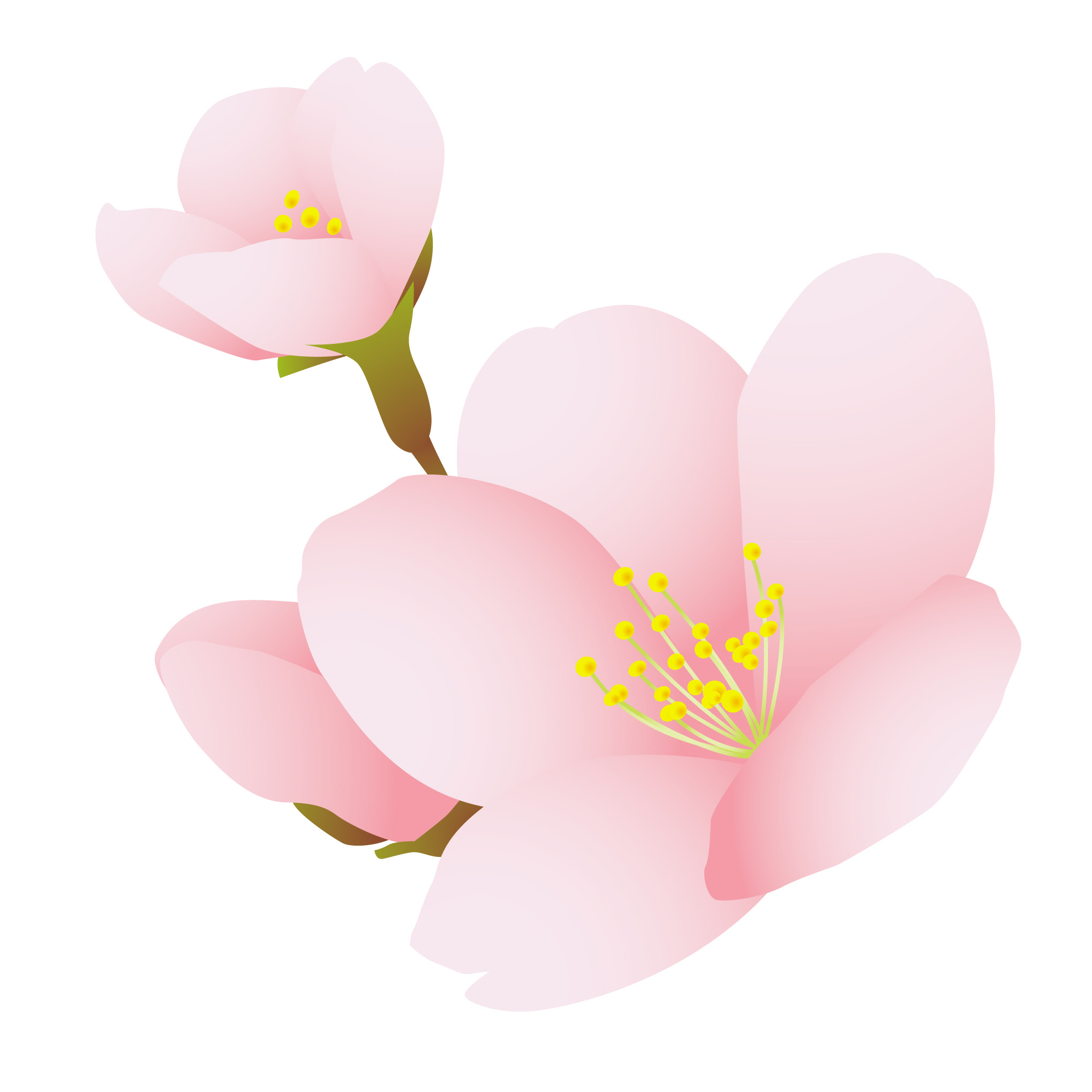 美しい花の画像 最高かつ最も包括的な4 月 イラスト 花