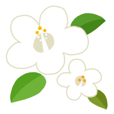 心に強く訴える白い 花 白 花 イラスト ディズニー画像のすべて