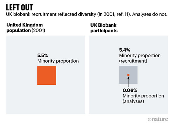 Left out. Graphic comparing UK biobank minority recruitment with analyses.