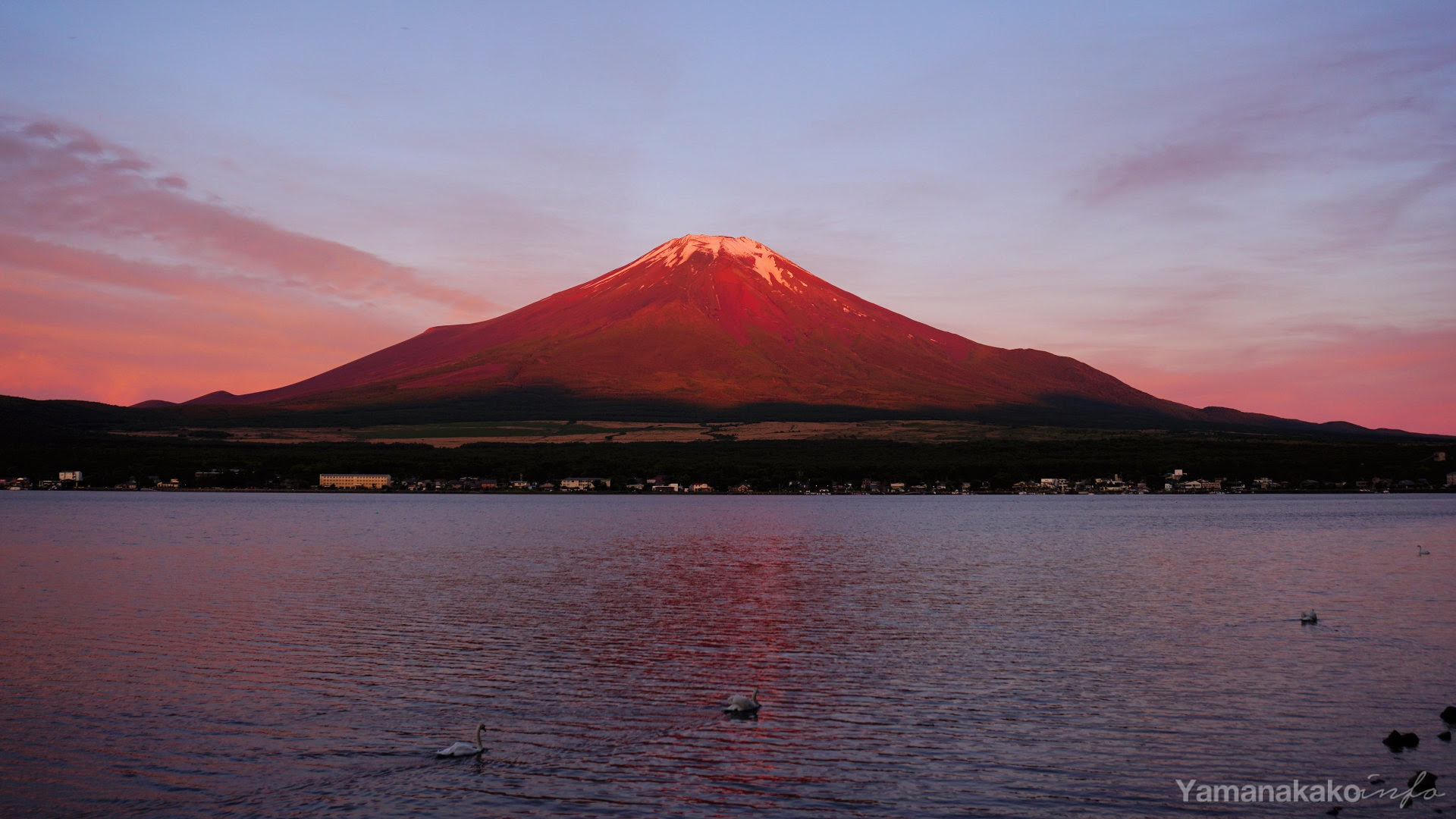 すべての花の画像 ラブリー富士山 画像 壁紙