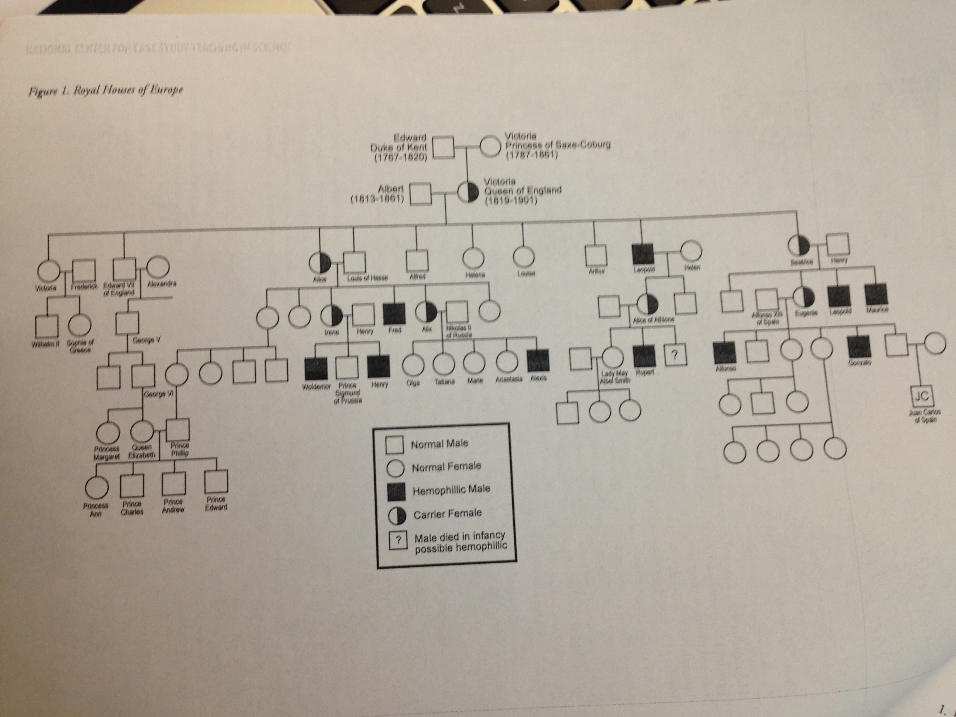 Carefully study the pedigree and answer the. Hemophilia The Royal Disease Case Study Katherine B Gleason