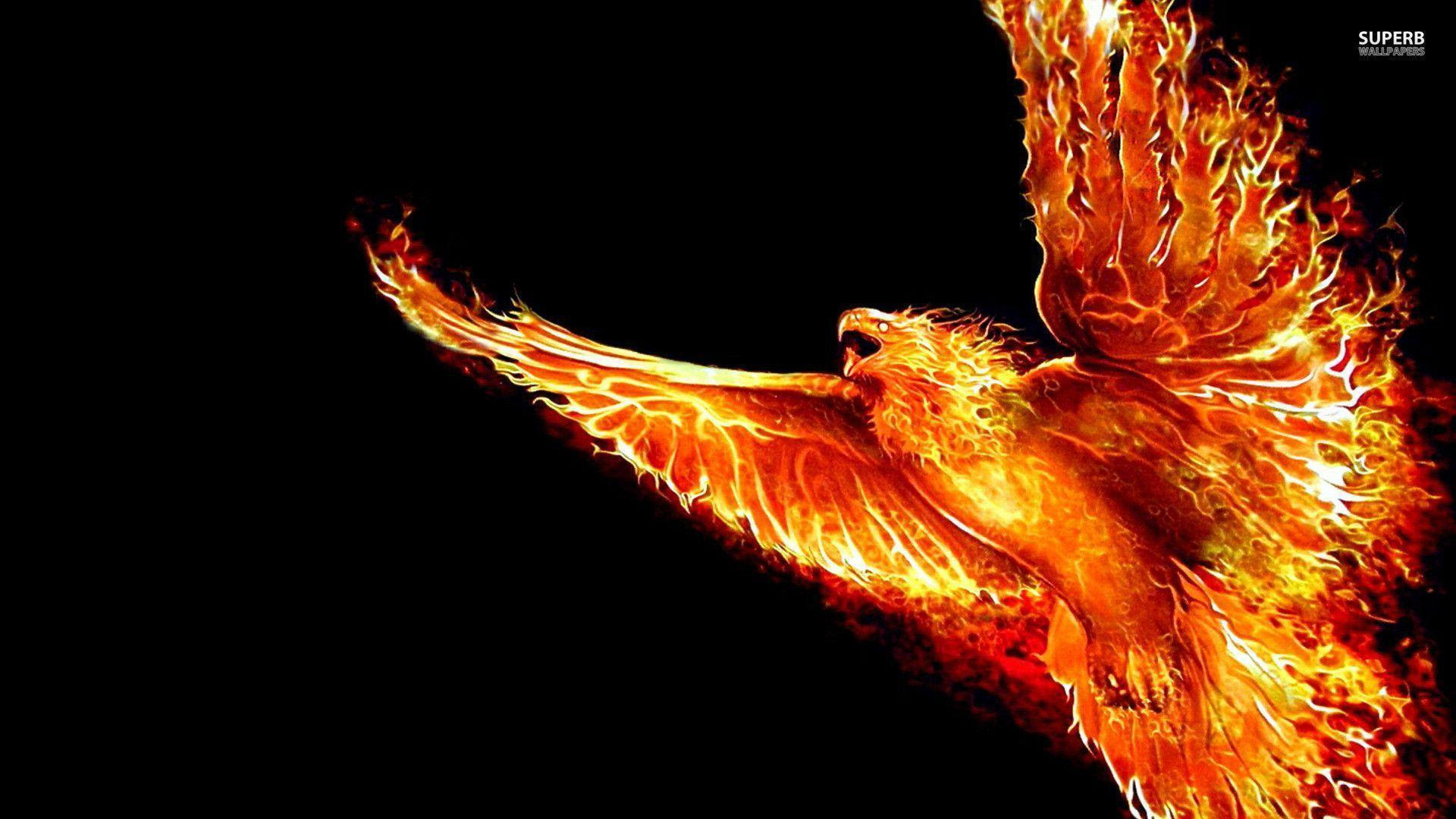 Phoenix Wallpaper Hd Wallpapers